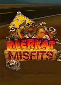 Meerkat Misfits